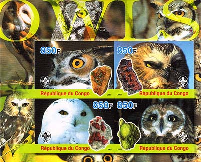 Congo Owls Imperf