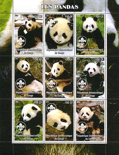 Congo Panda 2004