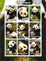 Congo Panda 2004 Imperf