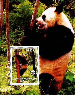Congo Panda 25a