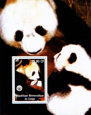 Congo Panda 25b