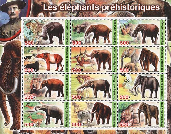 Congo Phelephant