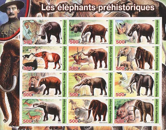 Congo Phelephant Imperf