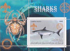 Congo Shark 25