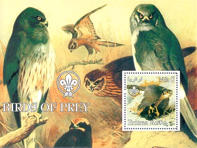 Eritrea Birdprey 8