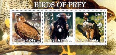 Eritrea Birdpreyb
