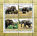 Eritrea Elephant