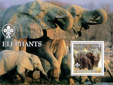 Eritrea Elephant 8