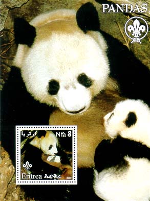 Eritrea Panda 8