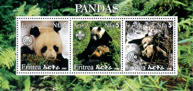 Eritrea Pandaa