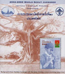 Gambia Tree 40