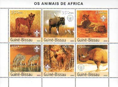 Guinea Bissau Africa
