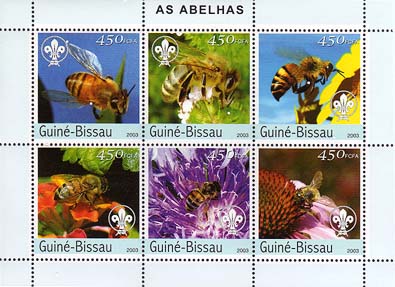 Guinea Bissau Bee 450