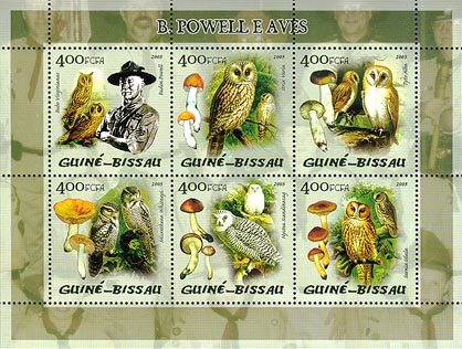 Guinea Bissau Owls & Baden-Powell 400