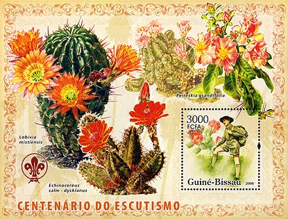 Guinea Bissau 100 Years Cactus SS
