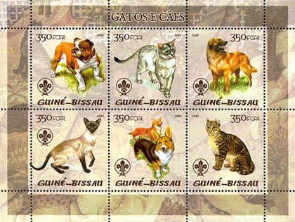 Guinea Bissau Cats and Dogs
