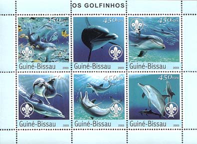 Guinea Bissau Dolphin