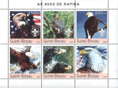 Guinea Bissau Eagle