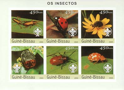Guinea Bissau Insect Imperf