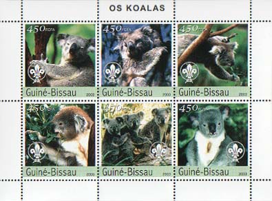 Guinea Bissau Koala