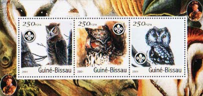 Guinea Bissau Owls 1