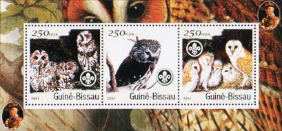 Guinea Bissau Owls 2