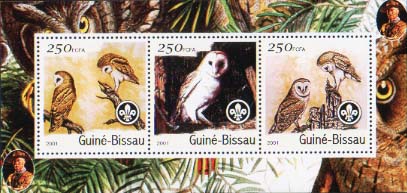 Guinea Bissau Owls 3