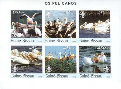 Guinea Bissau Pelican Imperf