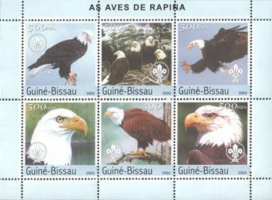 Guinea Bissau Rapina