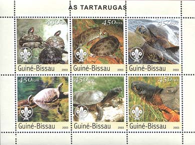 Guinea Bissau Turtle 2003