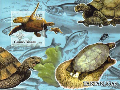 Guinea Bissau Turtles 2500 SS