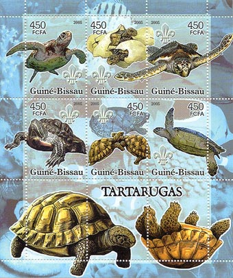 Guinea Bissau Turtles 450
