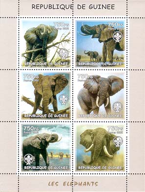 Guinea Republic Elephant
