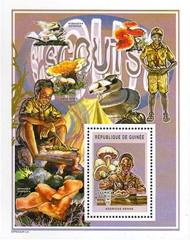 Guinea Republic Fungi A