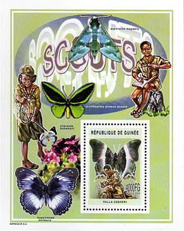 Guinea Republic Butterfly B