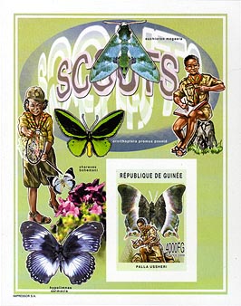 Guinea Republic Butterfly B Imperf