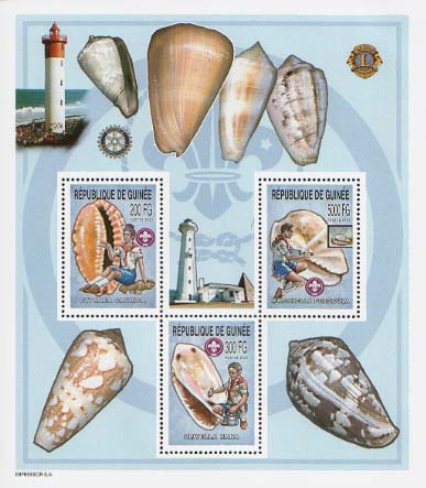 Guinea Republic Shell