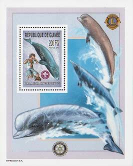 Guinea Republic Whale A