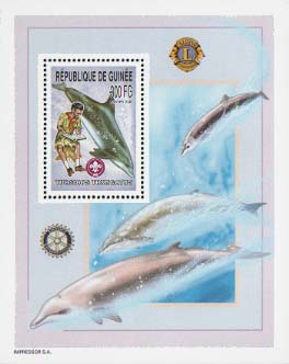 Guinea Republic Whale B