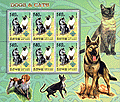 North Korea Dog & Cat A