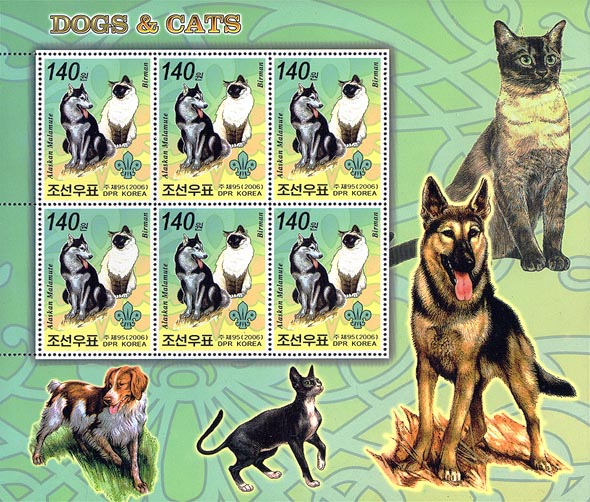 North Korea Dog & Cat A