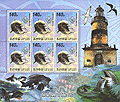 North Korea Dolphin A