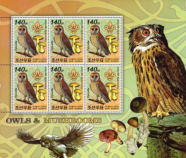 North Korea Owl A