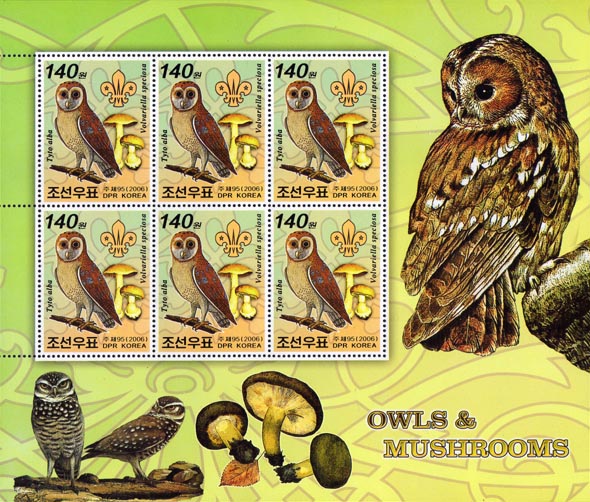 North Korea Owl B