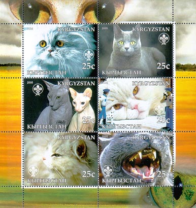 Kyrgyzstan Cats