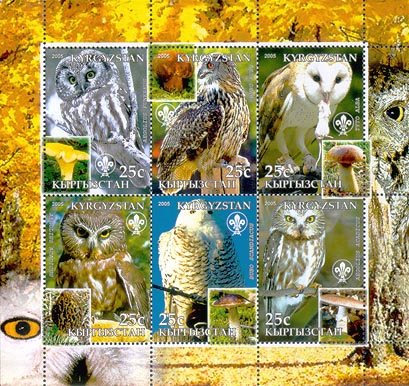 Kyrgyzstan Owls