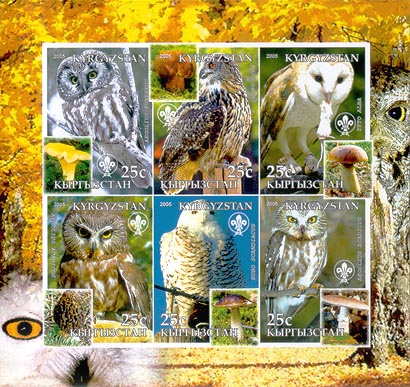 Kyrgyzstan Owls Imperf