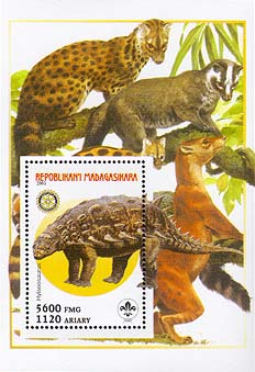 Madagascar Pre-historic Animals