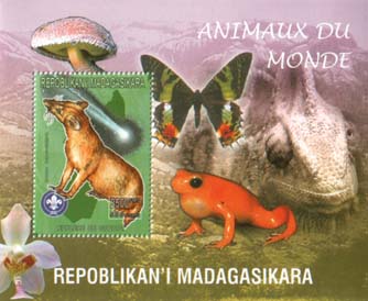 Madagascar Animals of World A