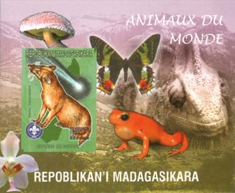 Madagascar Animals of World A Imperf